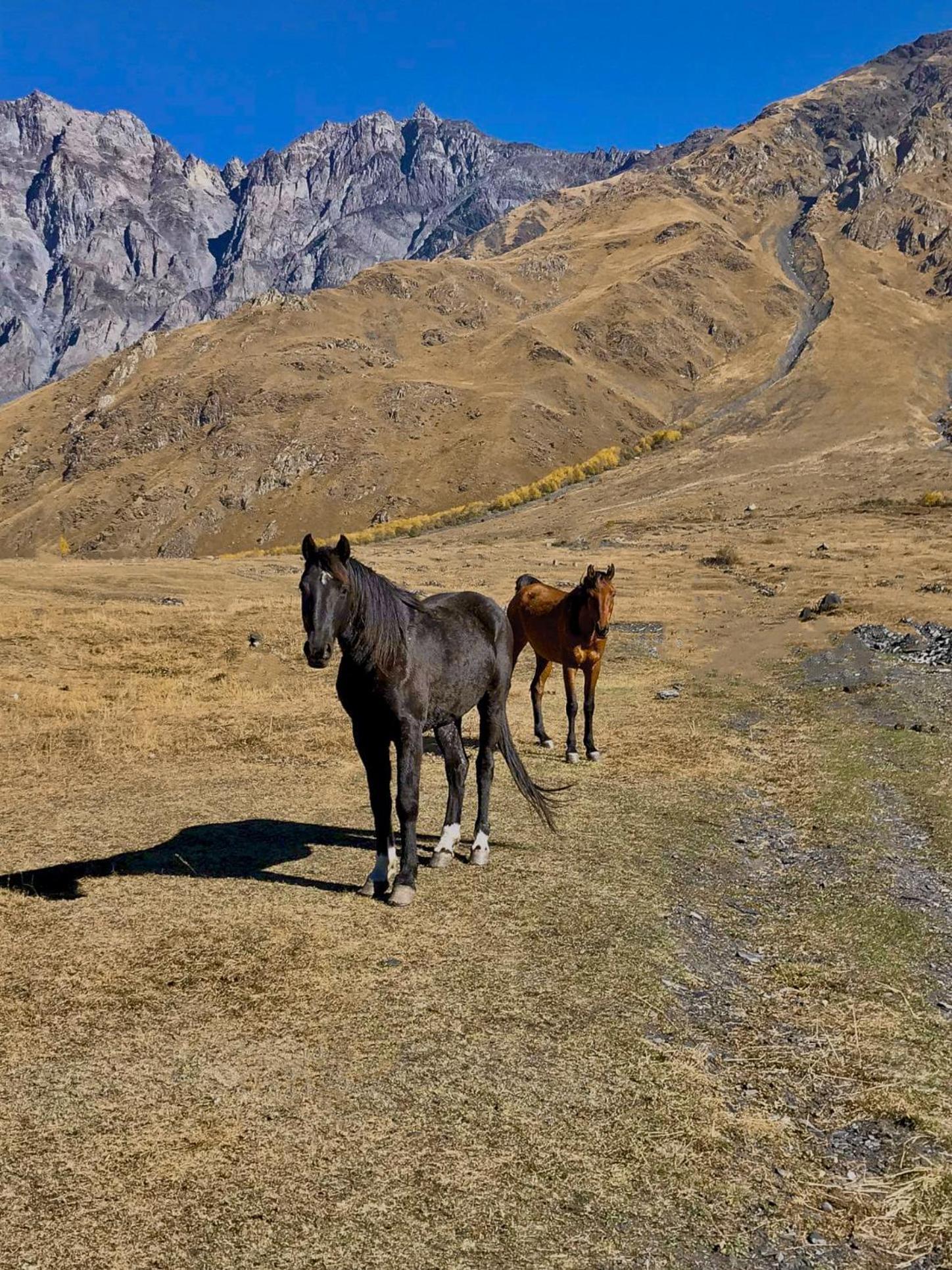 Kazbegi Inn Cottages Zewnętrze zdjęcie